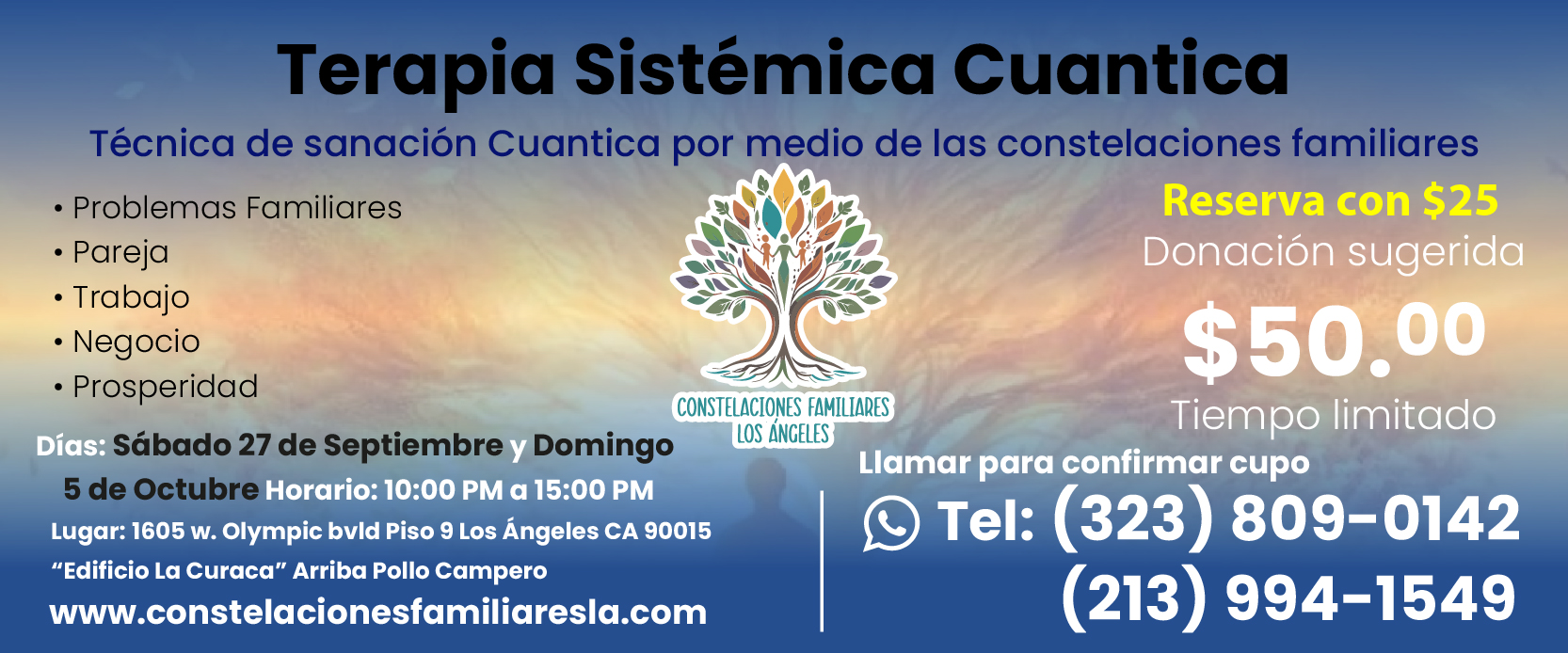 Baneer-Terapia-sistematica-cuantica-septiembre-01