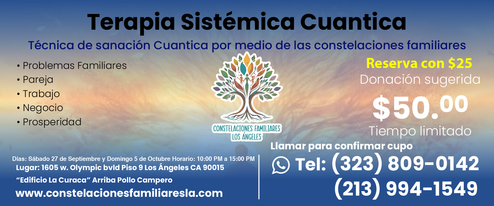 Baneer-Terapia-sistematica-cuantica-septiembre-01